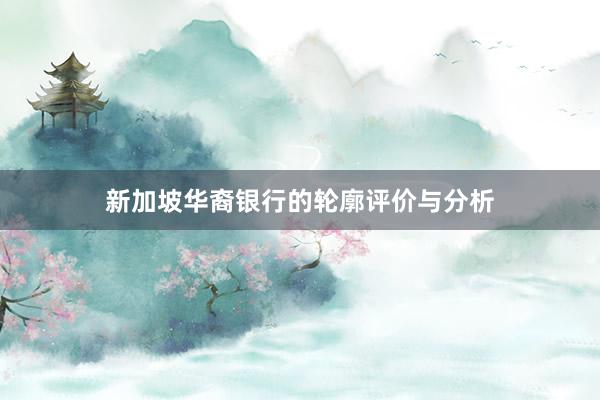 新加坡华裔银行的轮廓评价与分析
